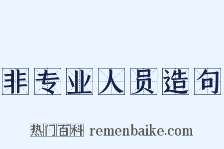 非专业人员造句是什么意思的图片